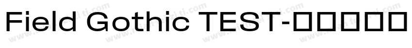 Field Gothic TEST字体转换